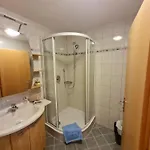 Apartment Haus Bürgler Dienten am Hochkönig